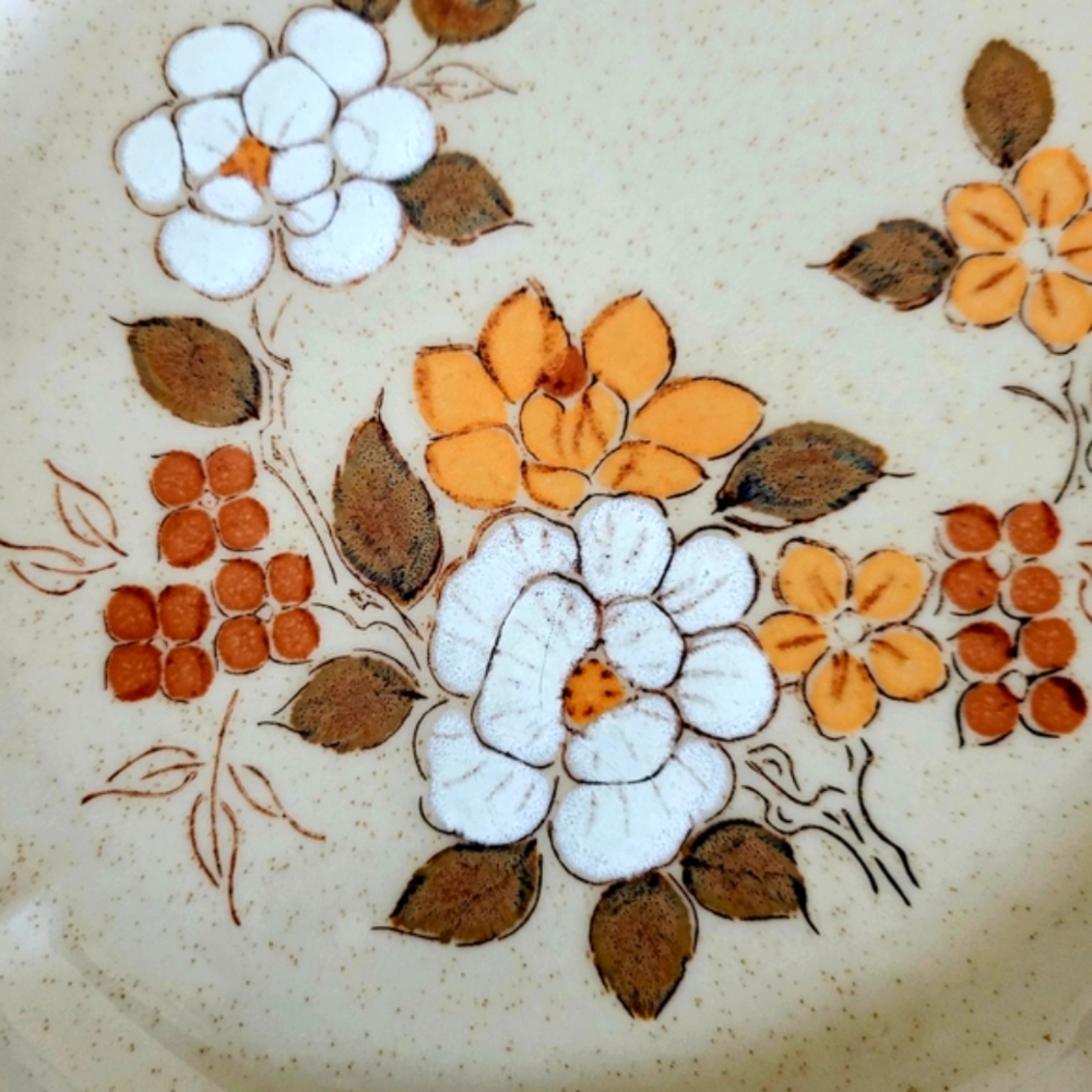 Set 2 4 or 6 Crown Manor Dinner Plates Autumn Blossom 10.5" Boho Hippie 70s VTG